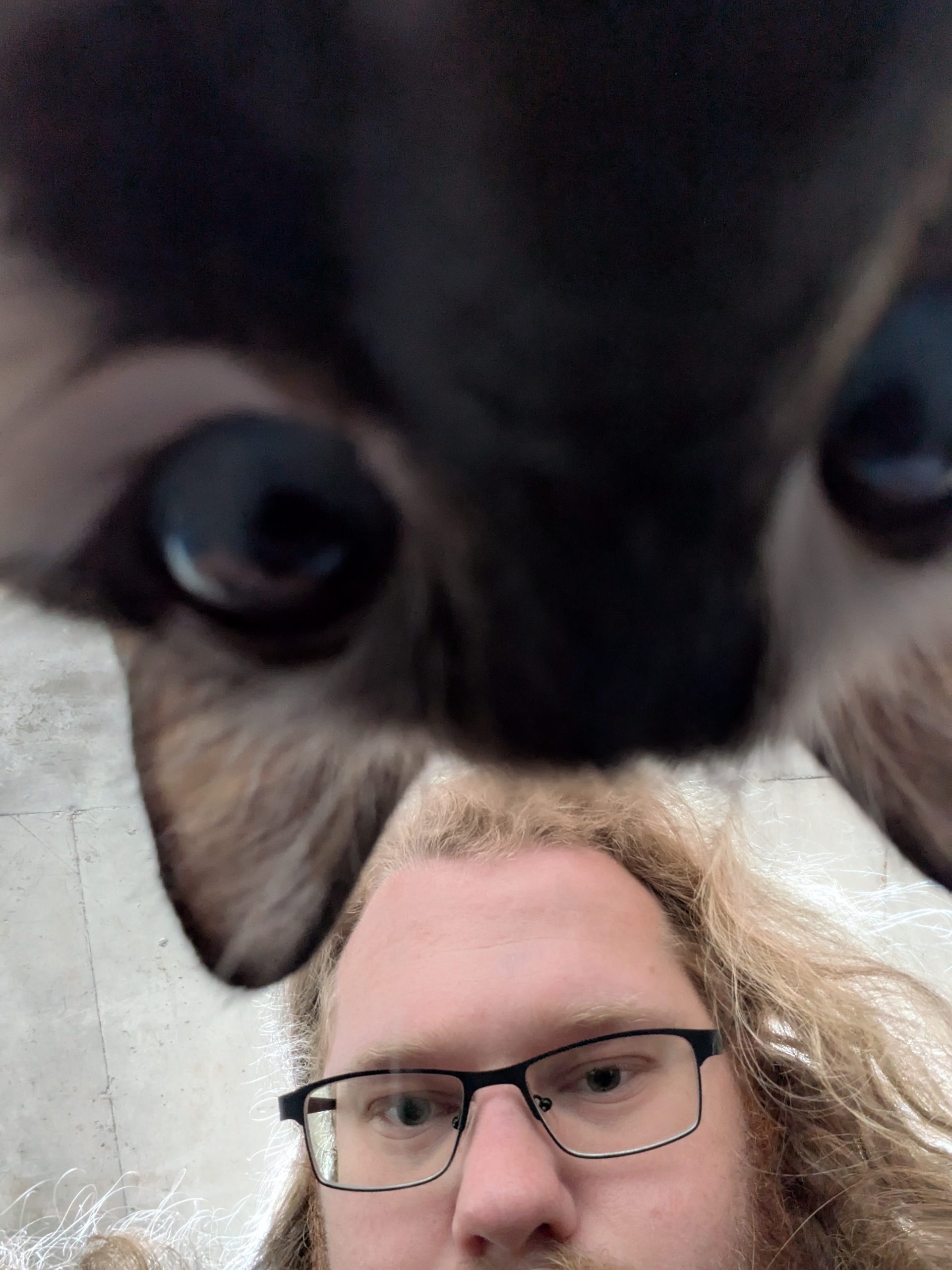 Ben and Marshmallow looking down at the camera from above