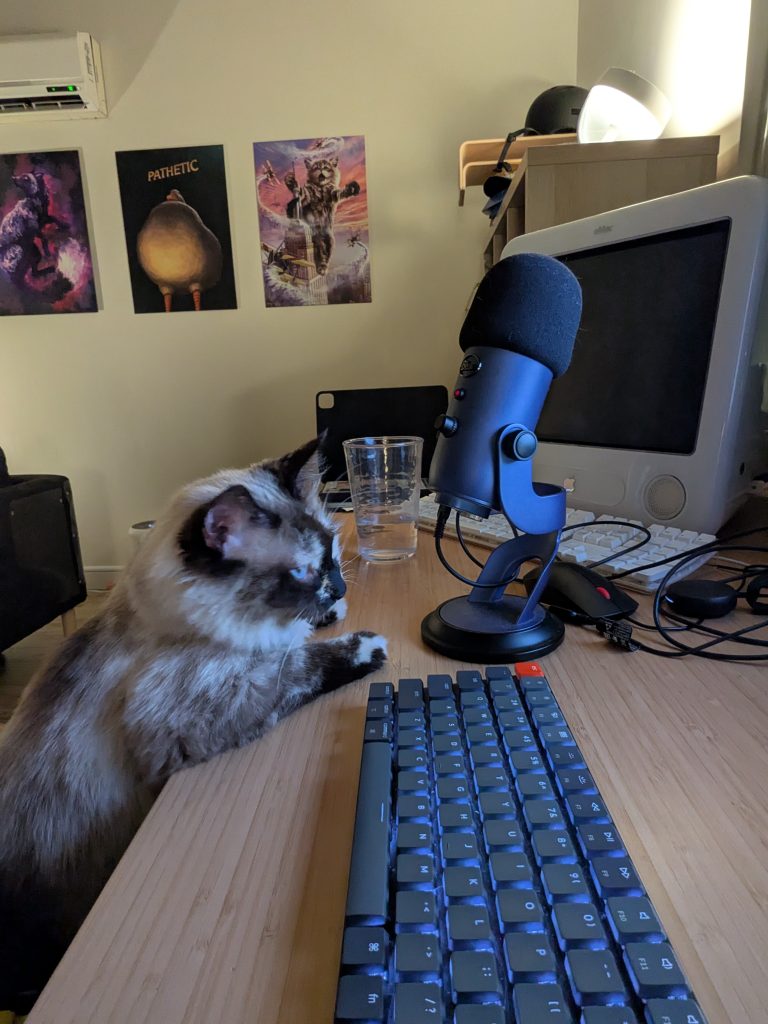 Marshmallow sitting at my desk, next to a Blue Yeti mic